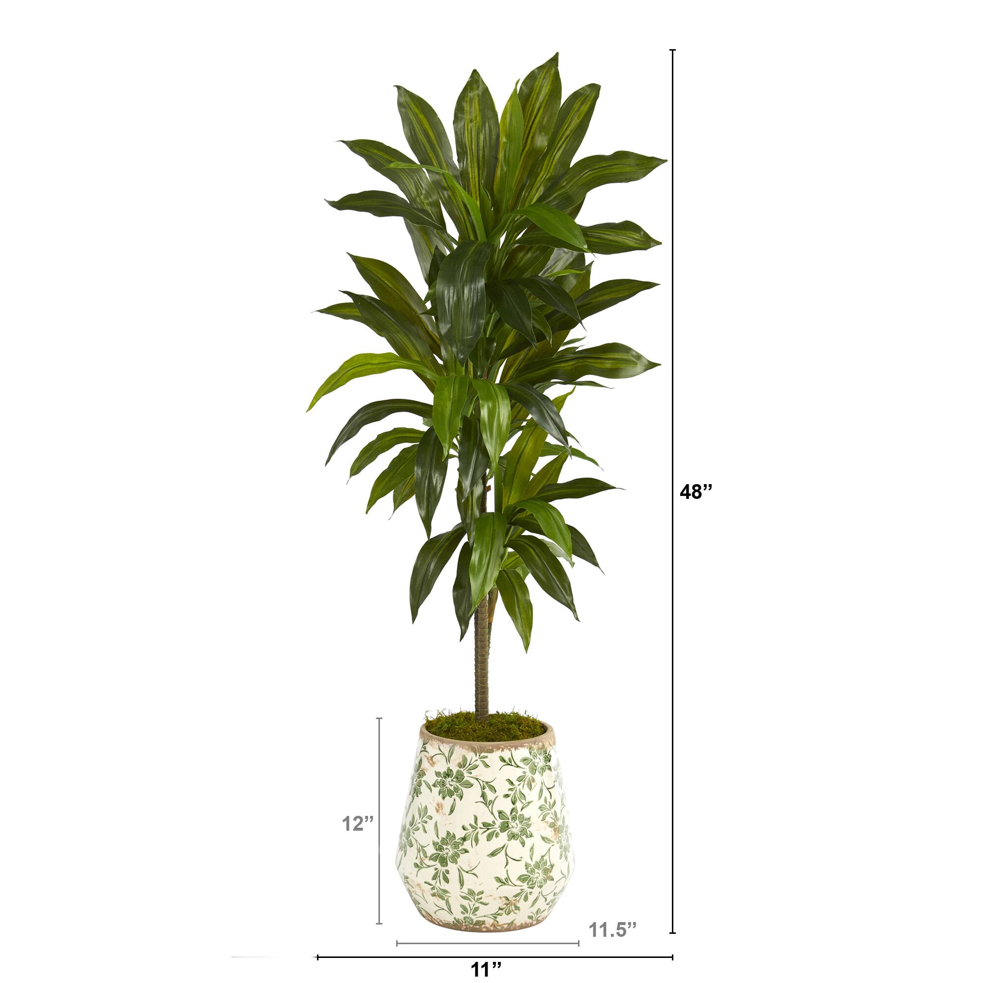 4ft. Dracaena Plant in Flower Print Planter